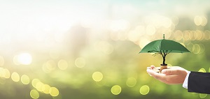 business man holding plant that is growing into an umbrella